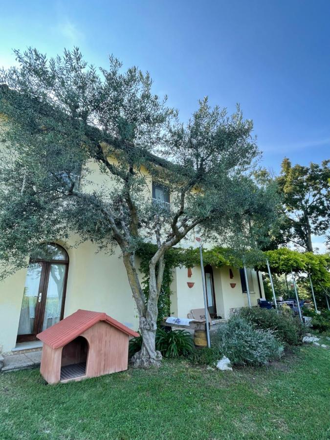 B&B Il Melograno Monzambano Extérieur photo